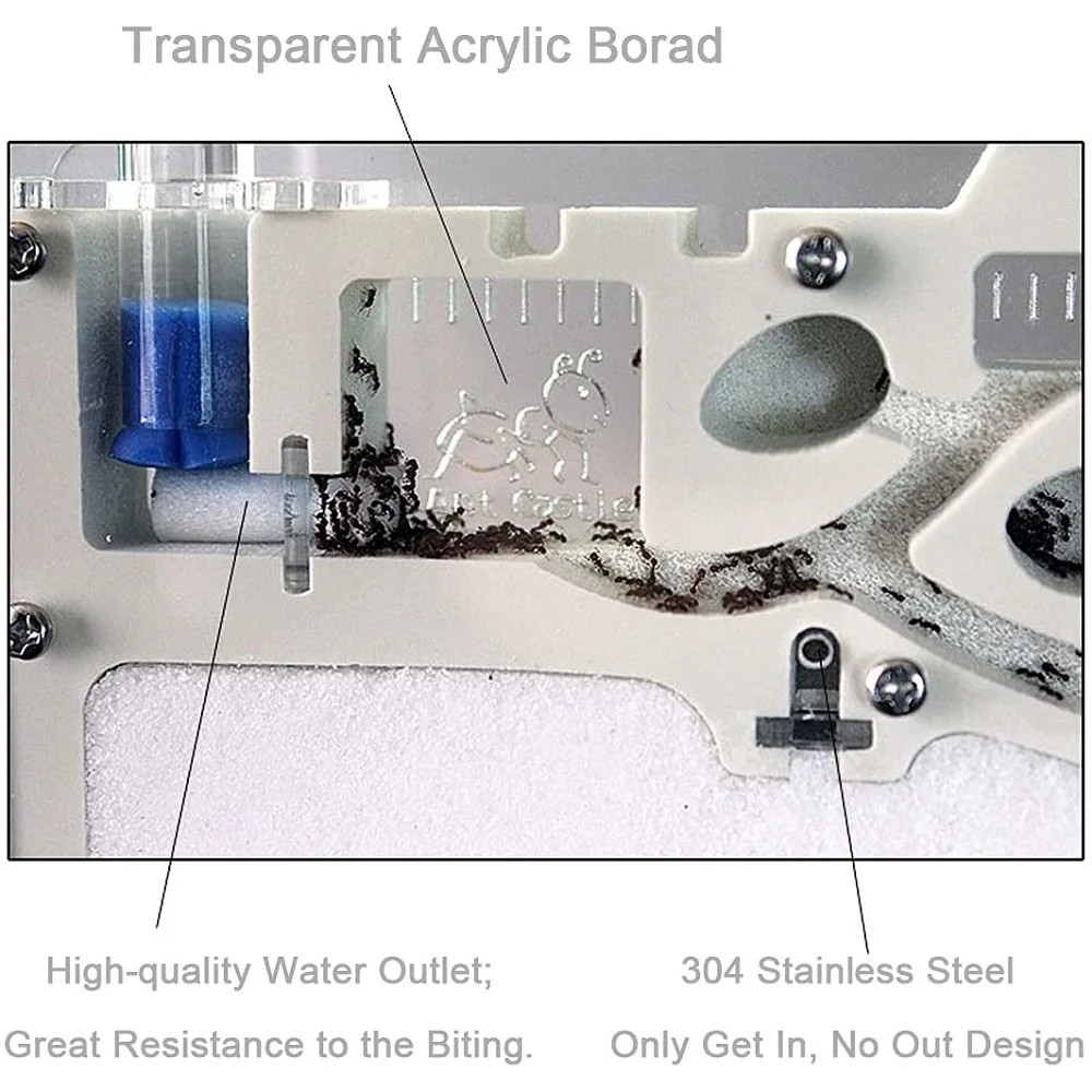 Castillo de arena de hormigas para ni&ntilde;os, taller de nido, granja de hormigas dom&eacute;stica, juguetes educativos para ni&ntilde;os, conjunto de ciencia, 2021-3