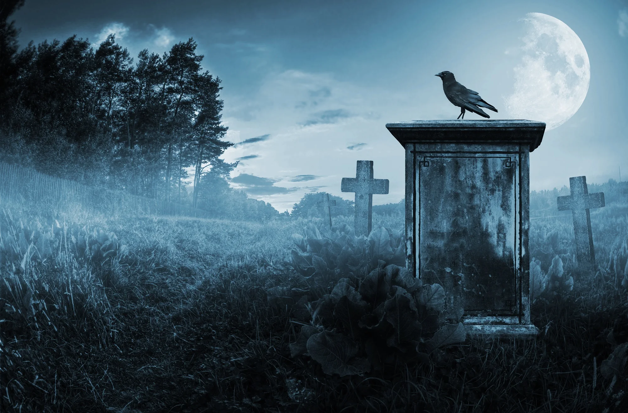 

Фон для фотосъемки в помещении «Хэллоуин» не дает конфет и не беспокоит кладбище ворона Темная ночь молитва кладбище душа