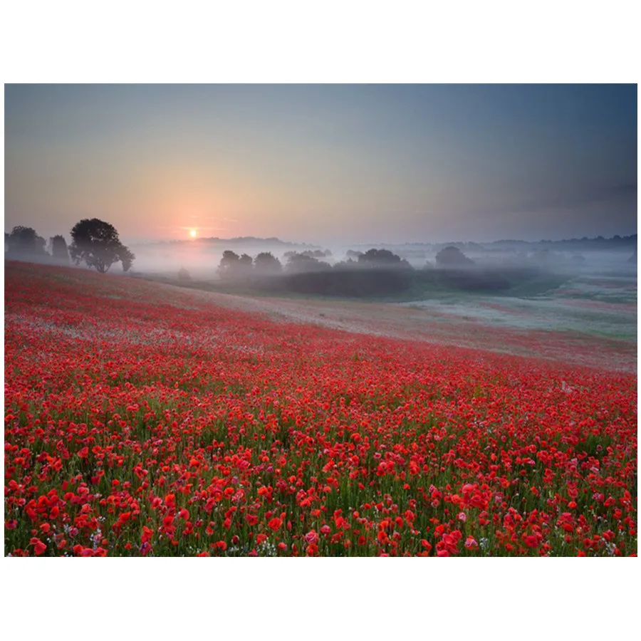 

5D алмазная живопись, живописный цветок мака, алмазная вышивка, полноразмерная вышивка крестиком стразы, украшение для дома, подарок