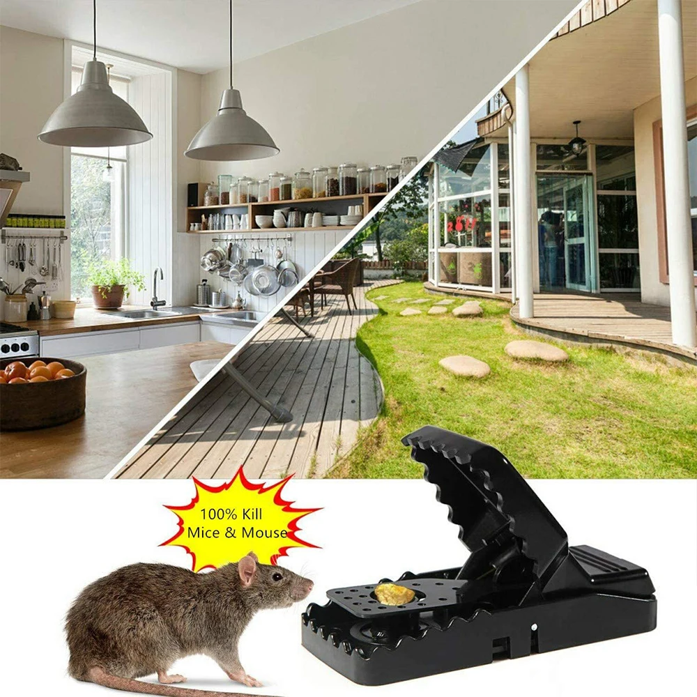 

6pcs Reusable Rat Mice Catching Mouse Trap Plastic Small Rat Traps Mouse Pest Killer Mouse Snap Traps Rodent catcher for Home