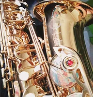 new sas 802 brand instrument alto saxophone ef golden alto sax complete accessories mouthpiece and case