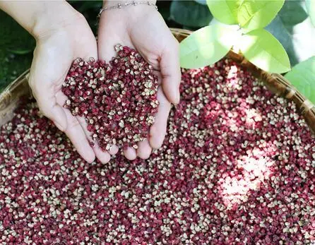 Новый Перцовый Сычуань перцовый китайский колючий перец соус huajiao приправа | Дом