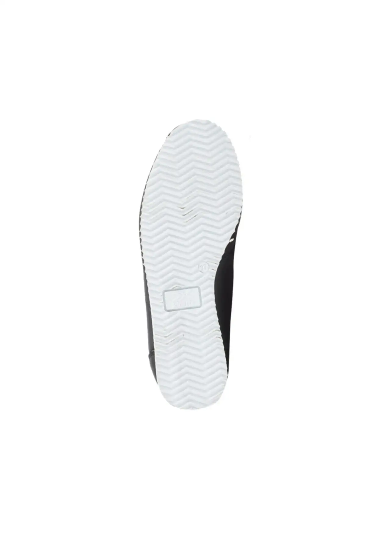 

SarEn 1195 (Kinetix)