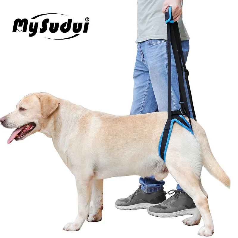 

Adjustable Dog Lift Harness For Back Legs Nylon Pet Dogs Leash Assist Dog Belt Harness Pet Support Sling Help Weak Legs Stand Up