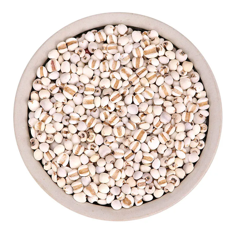 

Semen Coicis,Barley Jen Yi Mi Ren