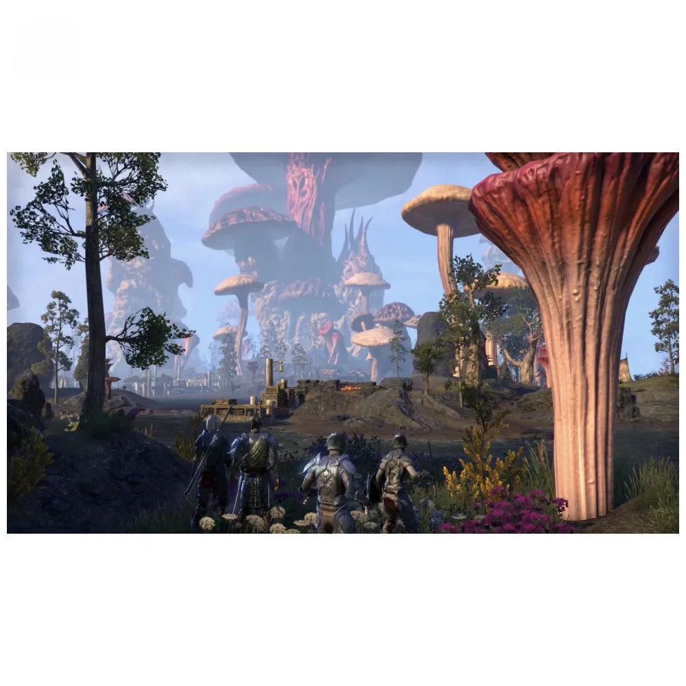 Игра для Sony PlayStation 4 Elder Scrolls Online: Morrowind (русская документация) | Электроника
