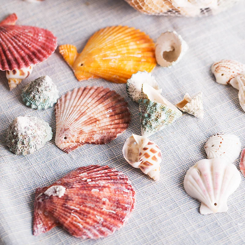 Модные ракушки украшение для аквариума натуральные морские изготовления