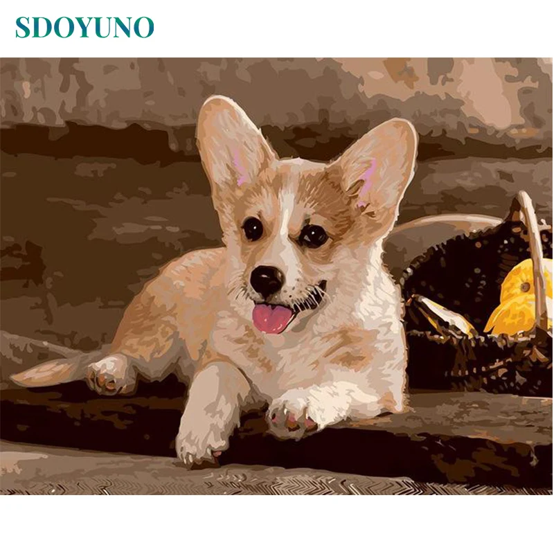 

SDOYUNO 60x75cm Oil Painting By Numbers Dogs DIY Paint By Numbers On Canvas Animals Frameless Corgi Home Decor Hand Painting