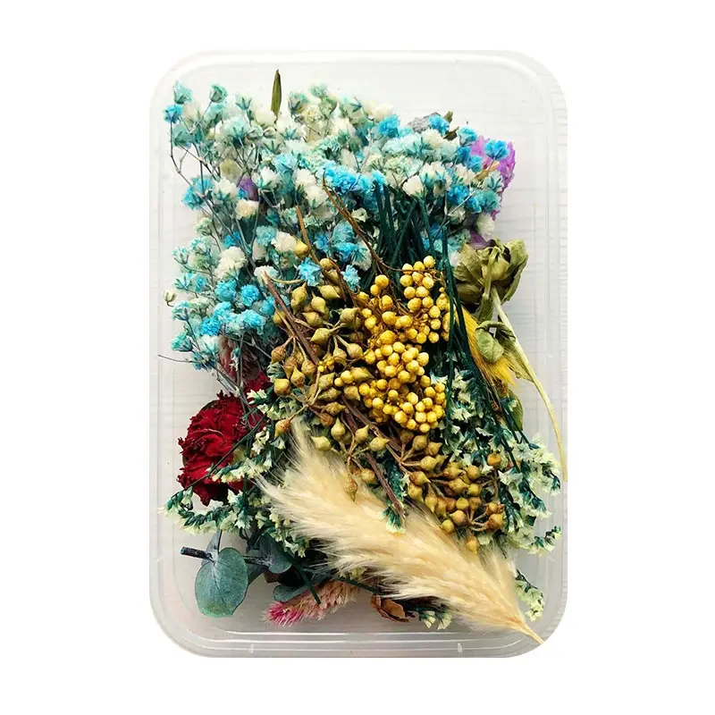 

Mix Beautiful Real Dried Flowers Natural Floral For Art Craft Scrapbooking Resin Jewelry Craft Making Epoxy Mold