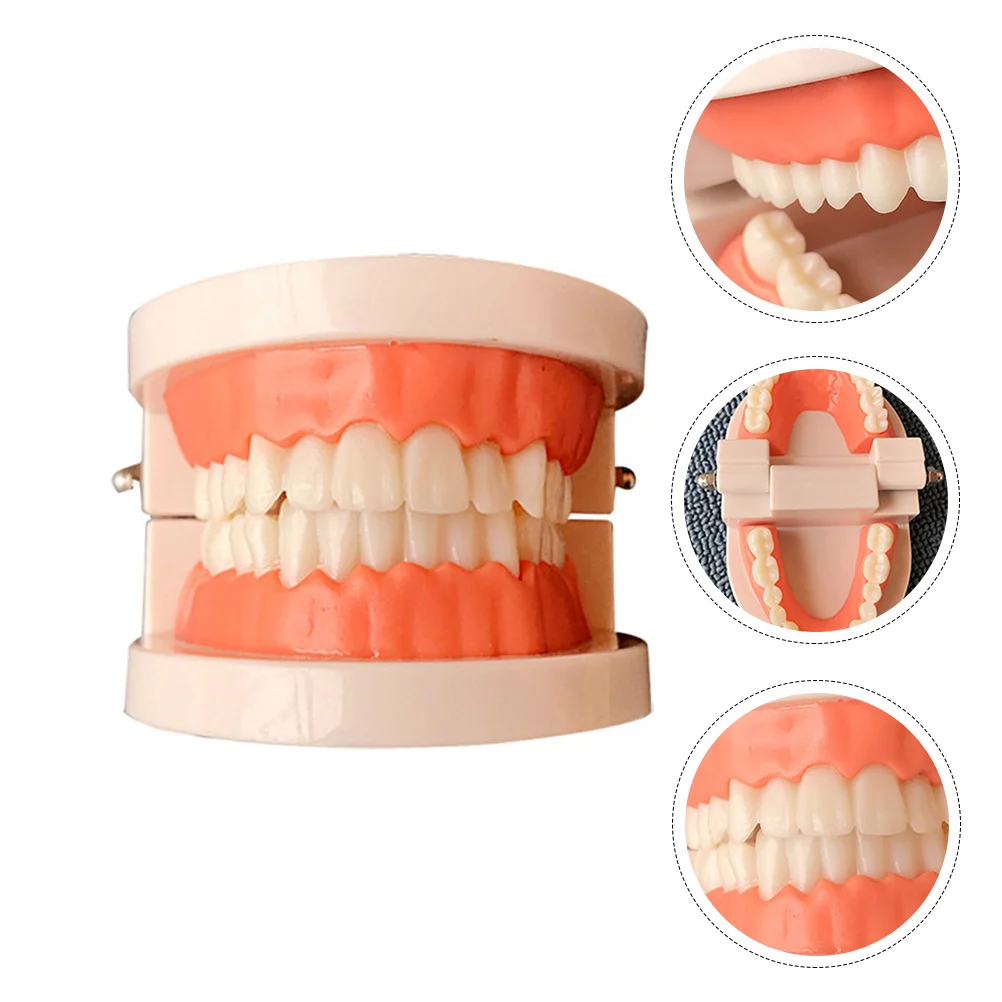 

Стандартная модель для зубов, модель для чистки зубов, демонстрация типоне для обучения