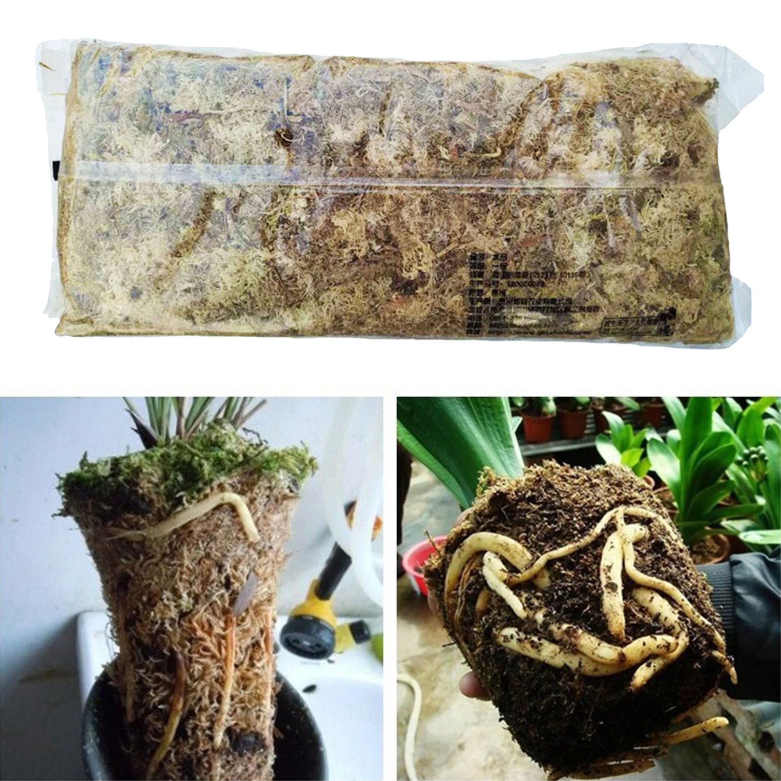 6L Organic Matter Terrarium Sphagnum Moss for Potted Plants Fertilizers | Дом и сад
