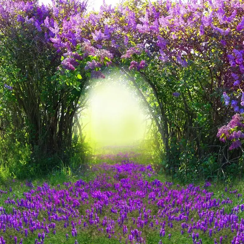 

Sping Flower Dreamy Nature Scenery Backdrop Castle Wonderland Forest Jungle Baby Scene Photography Background Photo Studio