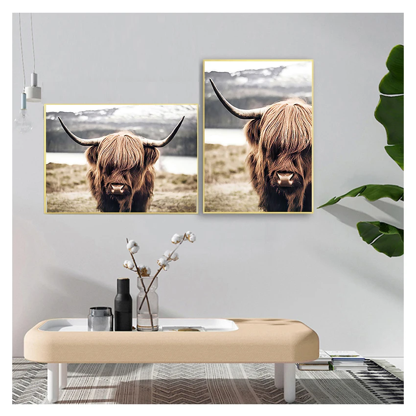 Живопись скота плакаты и печать Нордические скандинавские Cuadros Wall Art Picture для гостиной высокогорный бык дикие животные холст.