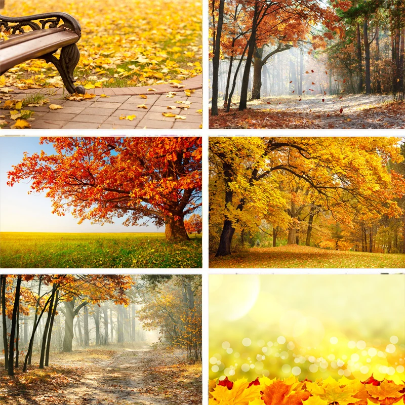 Реквизит для фотосъемки Nitree Виниловый фон осенние опавшие листья лес дорога