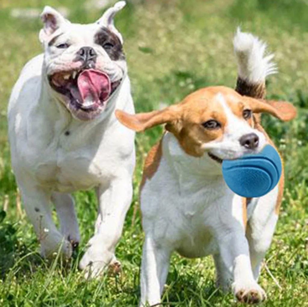 Игрушки для собак 1 шт. резиновый узор твердый мяч игрушка собаки дрессировка