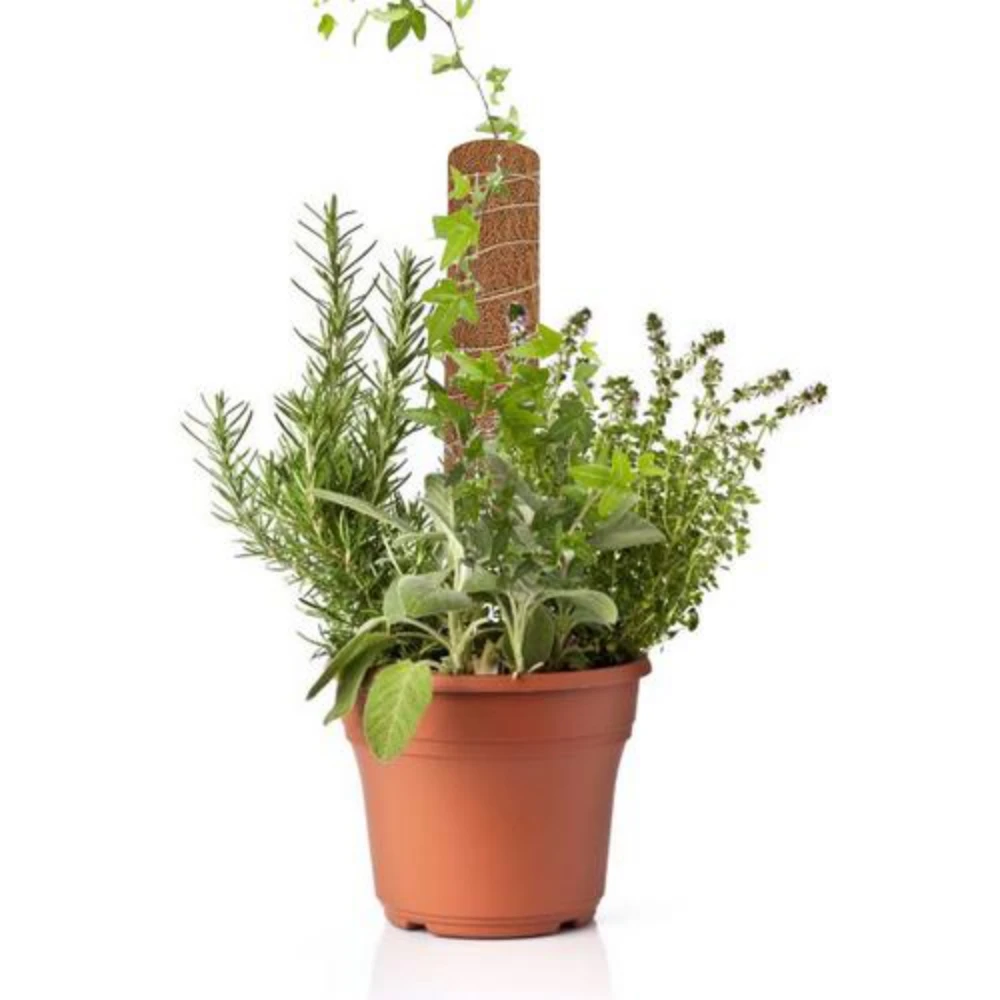 

30cm Plant Climbing Extension Coir Totem Pole Safe Gardening Coconut Palm Stick For Climbing Plants Vines And Creepers