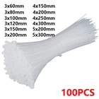 Самоблокирующиеся Нейлоновые Стяжки, черные и белые, 100 шт.