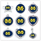 Подвеска Росомаха для ожерелья и сережек, 10 шт.лот