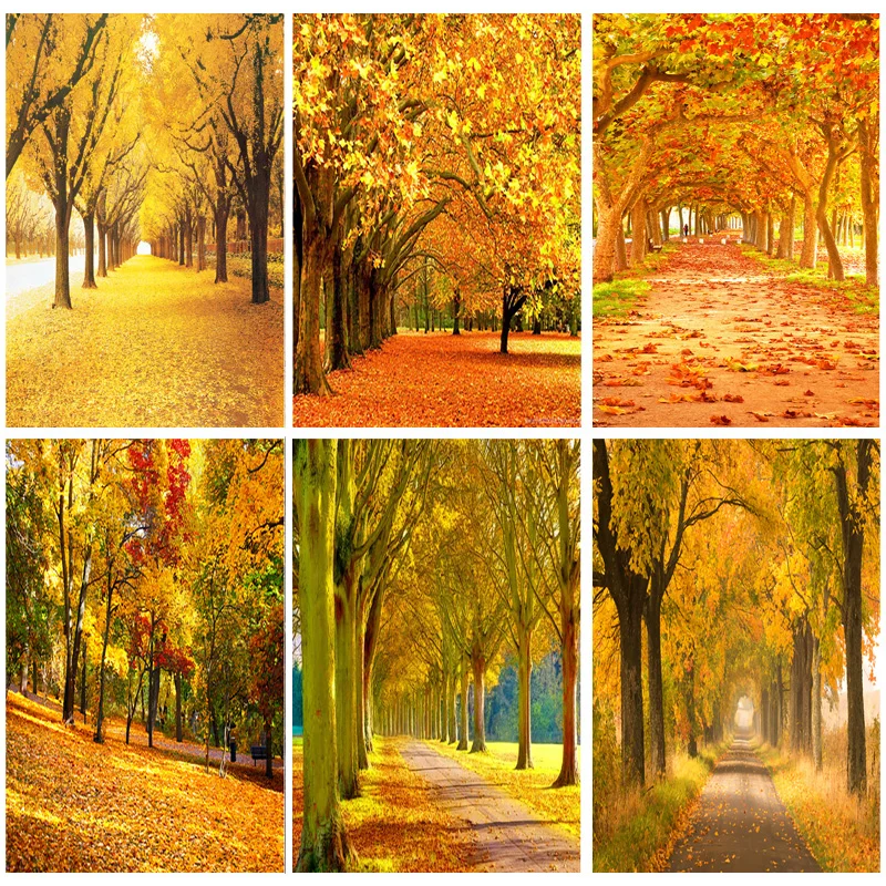 

SHENGYONGBAO Natural Scenery Photography Background Fall Forest Landscape Travel Photo Backdrops Studio Props 1911 CXZM-38