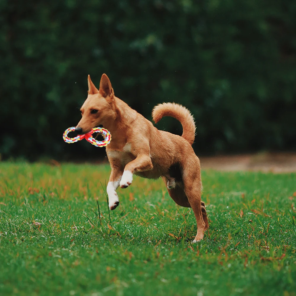 Домашнее животное собака веревка для жевания игрушка домашней собаки щенок