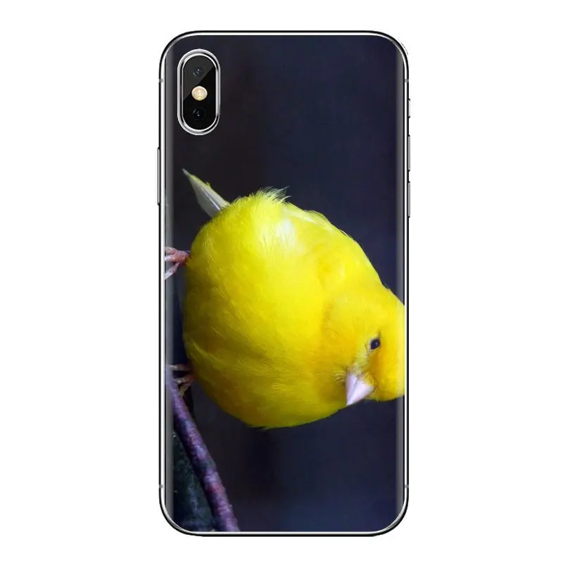 Soft Transparent Bag Case For iPod Touch Apple iPhone 4 4S 5 5S SE 5C 6 6S 7 8 X XR XS Plus MAX Mosaic yellow Types Canary Birds |