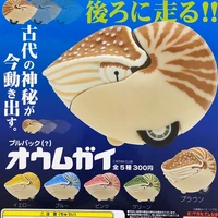 japanese kitan capsule toys gashapon ocean creature conch fossil decoration nautilus pullback car collection gifts