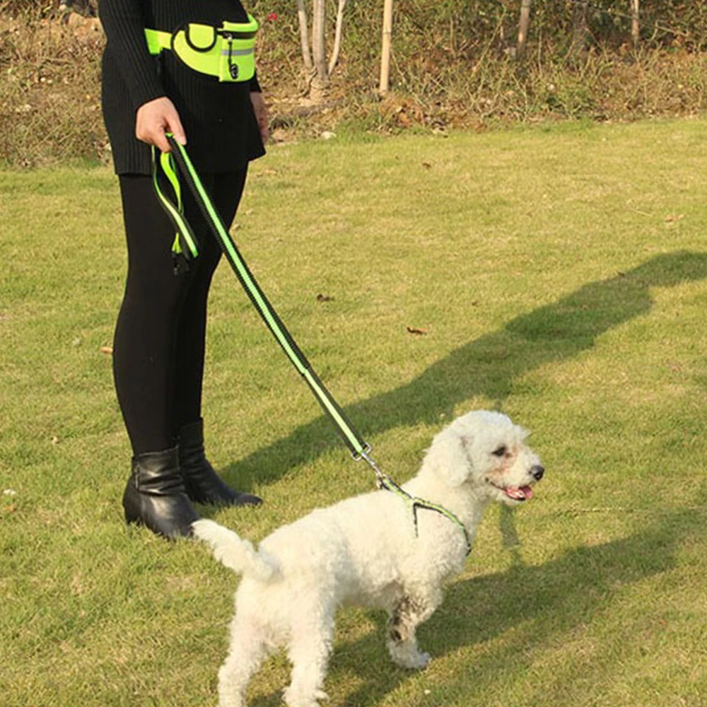 Поводок для собак маленьких больших тянущиеся поводки котов Светоотражающий