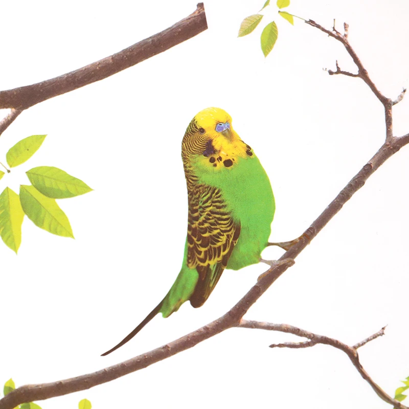 1 шт. детские настенные наклейки с птицами на дереве | Дом и сад