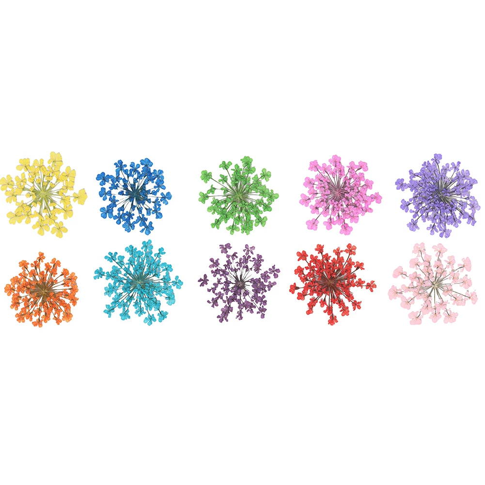 100Pcs Pressed Dried Ammi Majus Flower Epoxy Resin Nail Craft DIY Phone Decor | Красота и здоровье