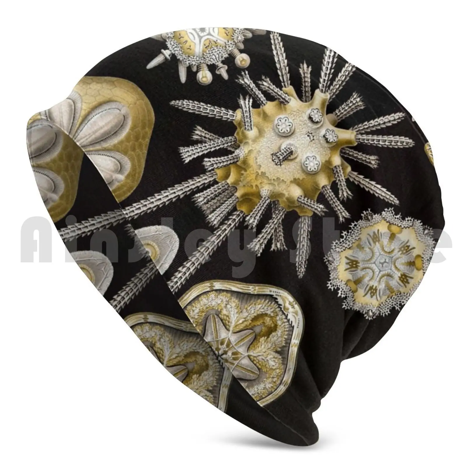 Ernest Haeckel Echinidea мелкое искусство литография морские шапочки вязаная шапка хип-хоп