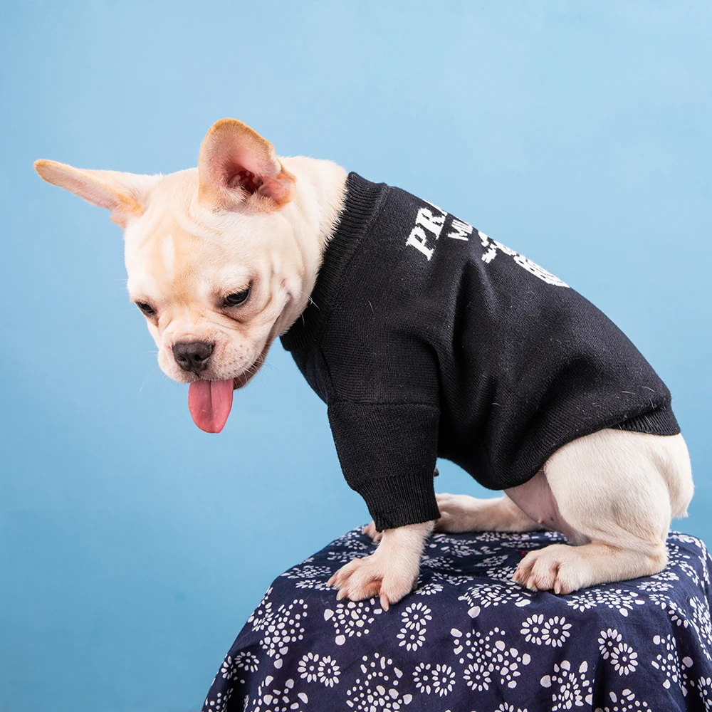 

Designer Dog Clothes Dog Sweaters for Small Dogs Keep Warm In Autumn and Winter French Bulldogs Chihuahuas Pet Clothing