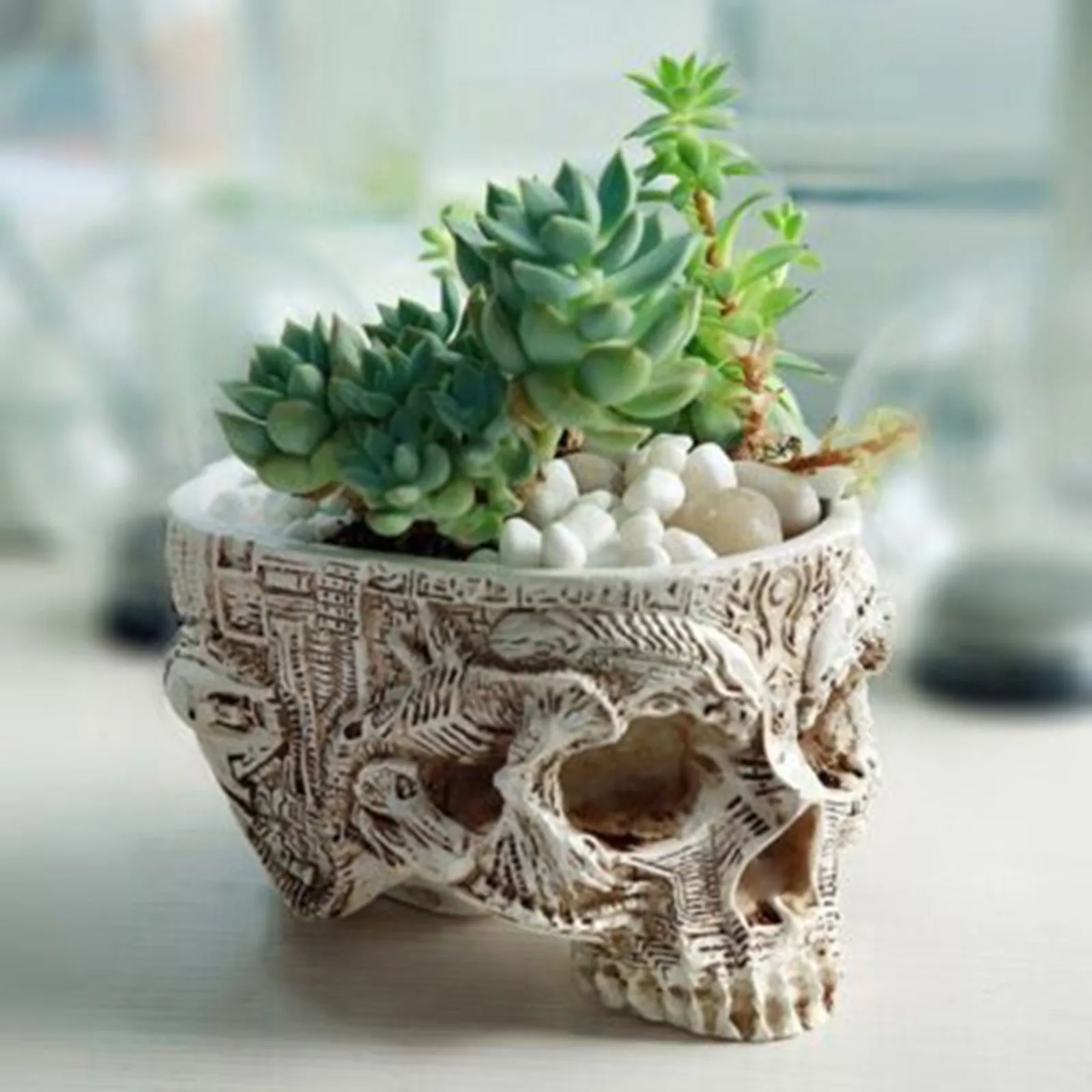

Creative Flower Pot Gothic Skull Head Planter Container Resin Plant Grass Desktop Ornaments For Inddor Home Desk Decoration