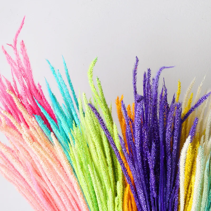 

60pcs Natural Dried Flowers Bouquet Unicorn Grass DIY Wedding Gifts Photography Photo Prop Home Tabletop Decoration Christmas