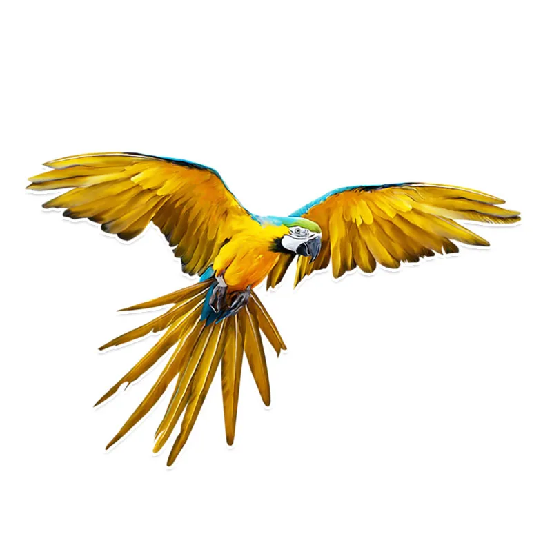 

Таинственный попугай, персонализированный ПВХ цветной декор, автомобильная наклейка, высокое качество, винил, светоотражающий чехол, царап...