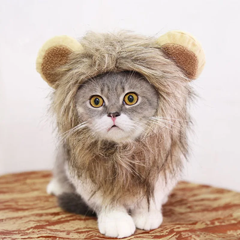 

Funny Easter Cute Plush Costume Easter Cap Bunny Headdress Rabbit Hat With Ears For Cats And Small Dogs Hat Pet Products 2021