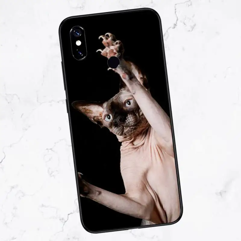 

Black Sphynx Cat Phone Case For Xiaomi Redmi 7 8 9t a3Pro 9se k20 mi8 max3 lite 9 note 9s 10 pro
