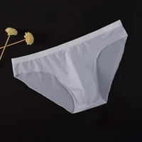 mens sexy see through silk briefs mesh sheer pouch stretchy seamless panties thongs underwear solid sexy lingerie