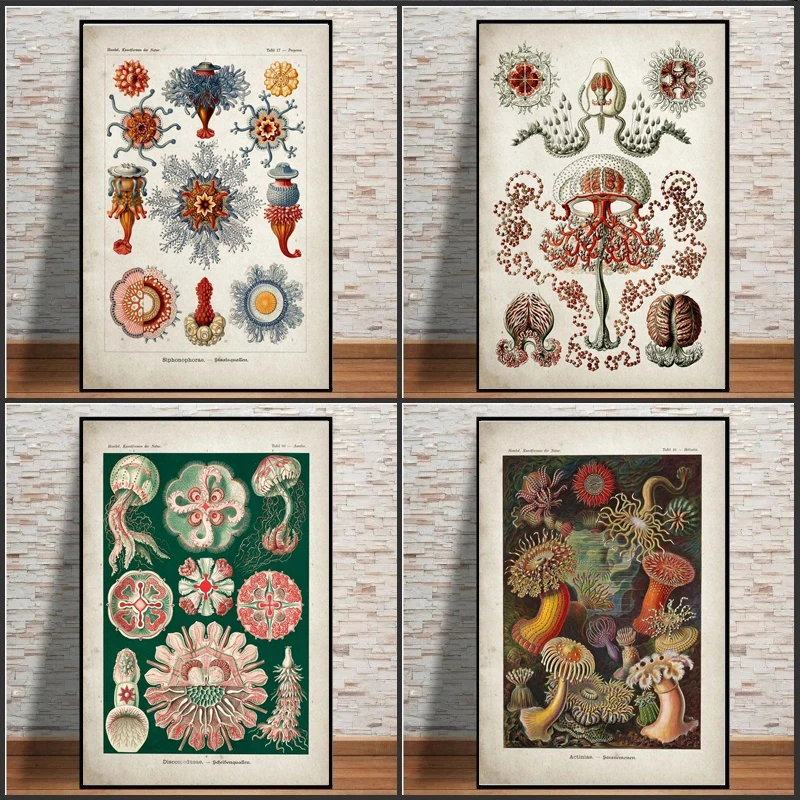 

Sketch Art Jellyfish Seaweed Coral Green Algae Sea Anemone Water Spray Starfish Retro Canvas Printing Wall Canvas Decoration