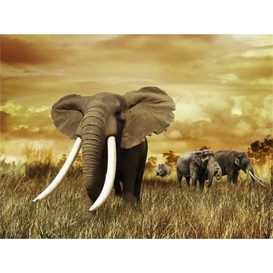 Животные слон украшение для дома 5D алмазная живопись инкрустированные алмазами