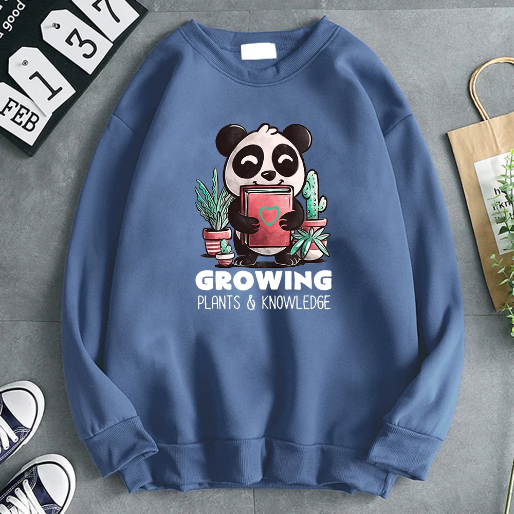 

Толстовка Женская флисовая с капюшоном и длинным рукавом, в стиле Харадзюку