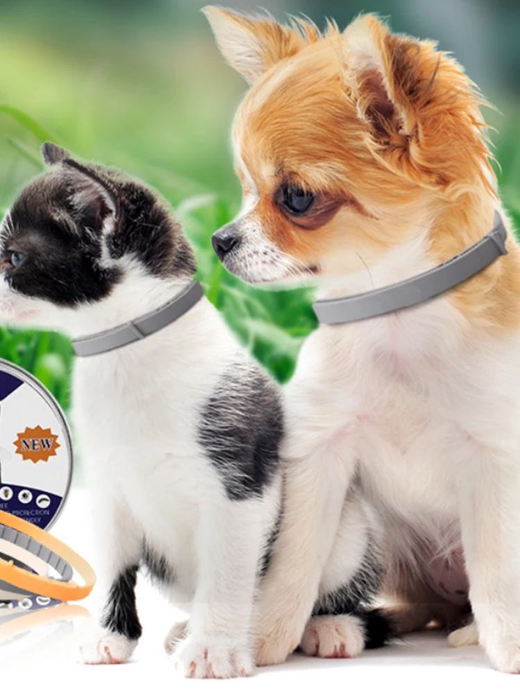 

Flea & Tick Prevention Collar for Large Small Dog sergio Dog Cat Collar Tick and Flea Control for Dogs and Cats 100% Natural