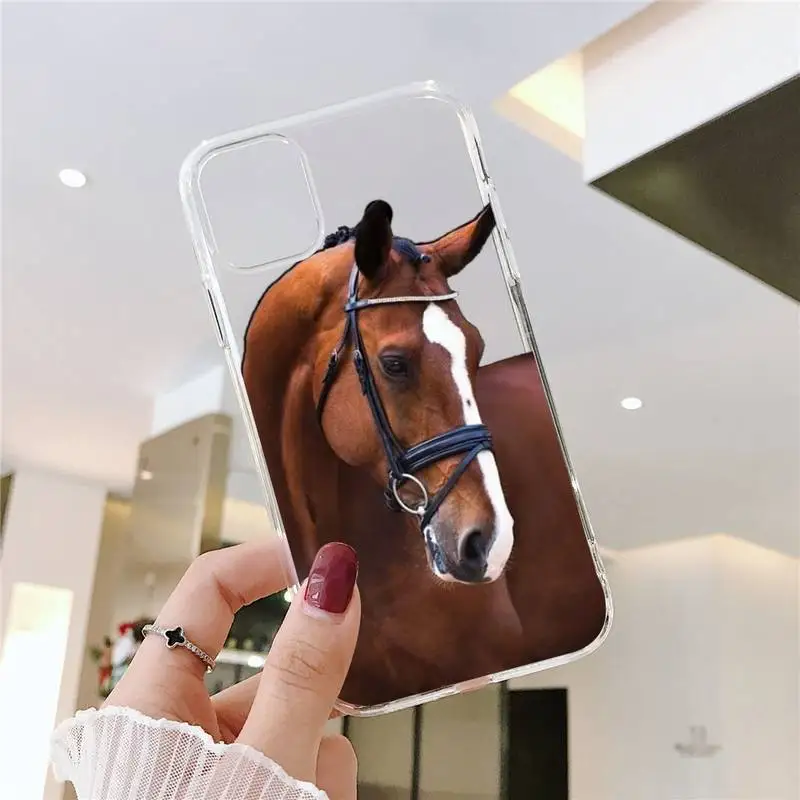 

Frederik Great beauty horse art Phone Cases Transparent soft For iphone 5 5s 5c se 6 6s 7 8 11 12 plus mini x xs xr pro max