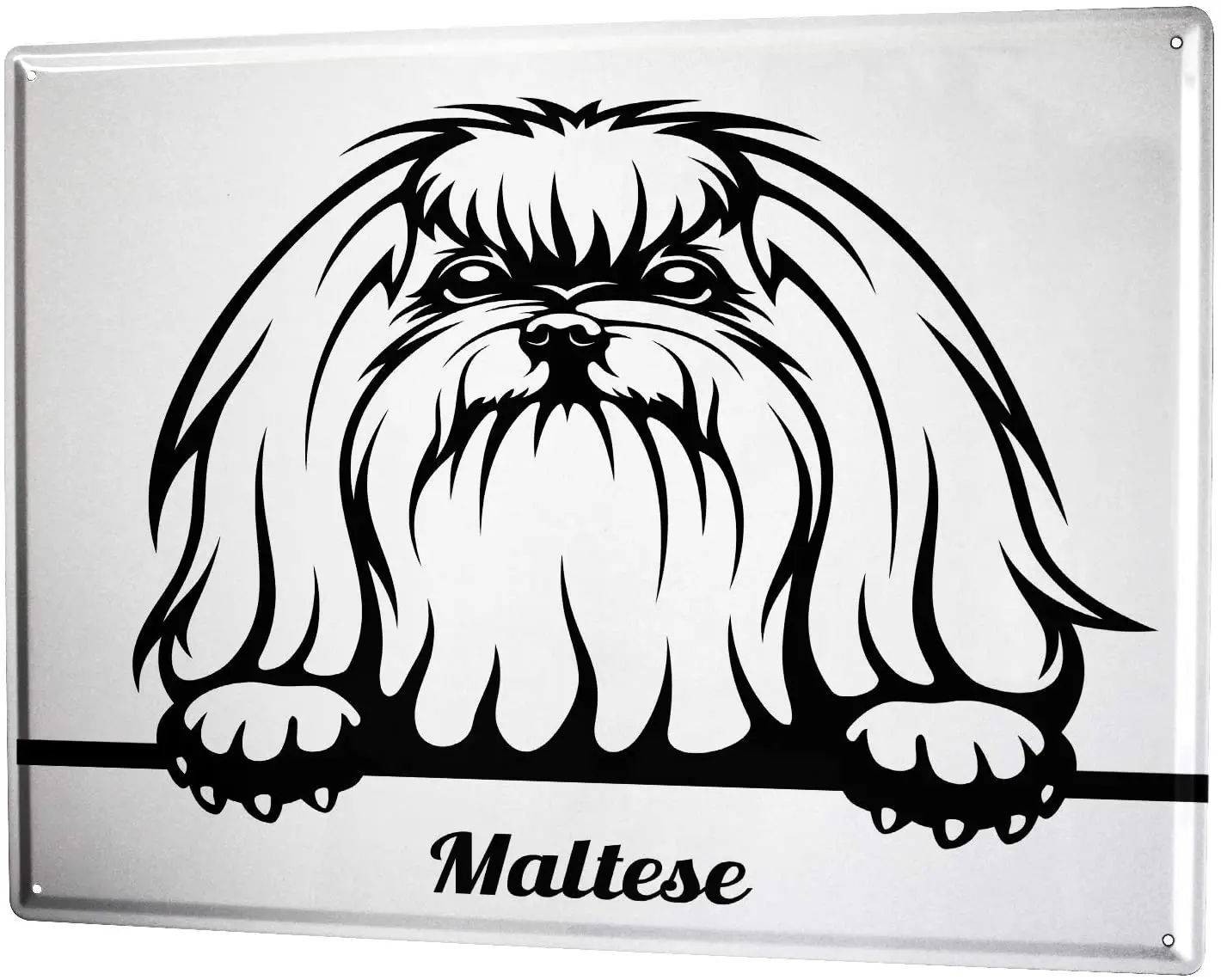 

SINCE 2004 Metal Plate Dogs Maltese Drawing