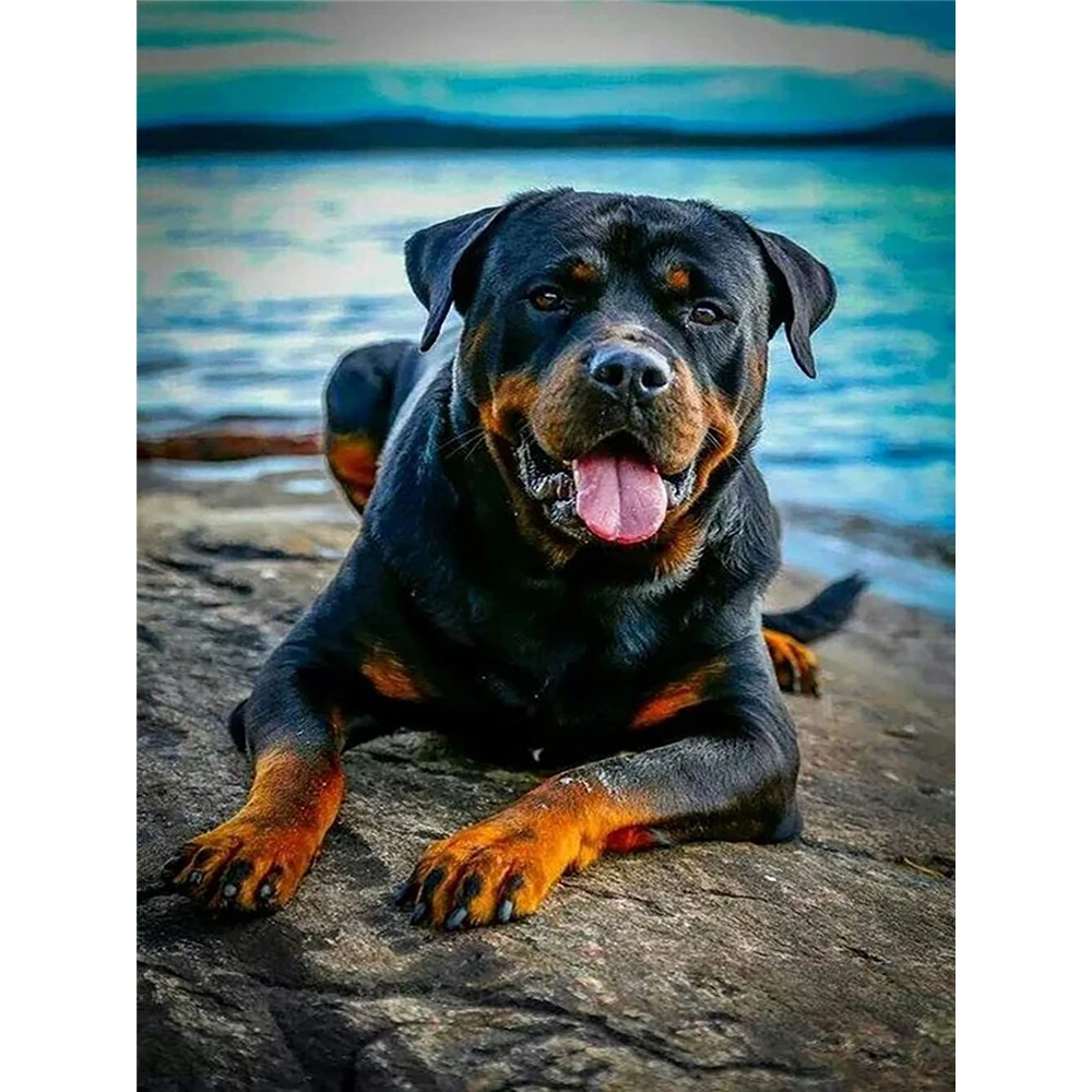 

Animal Dog Rottweiler DIY 3D Full Diamond Embroidery Diamond Mosaic Diamond Painting Complete Kit Home Decor Hobbies