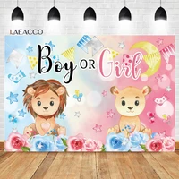 laeacco gender reveal boy or girl backdrop cartoon lion flower stars kids baby shower portrait customized photography background