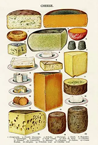 

Cheese Theme Metal Tin Sign 8x12 Inches Retro Wall Decor Sign Bar Dining Room Living Room Kitchen Garage