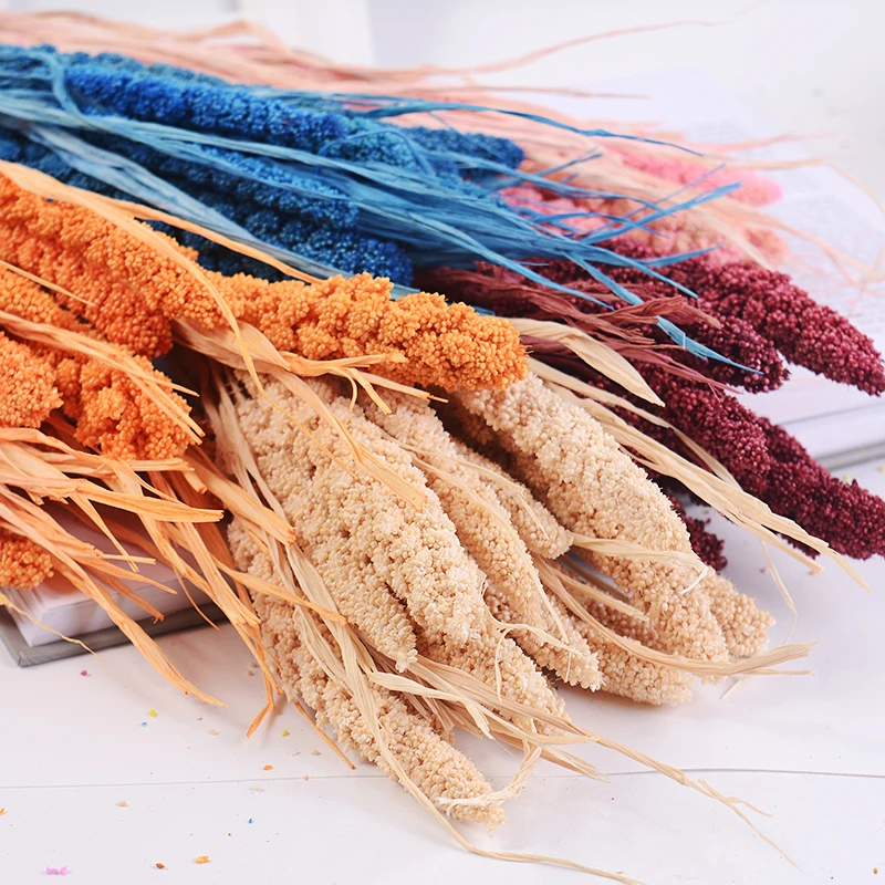 10 шт. Натуральные сушеные цветы зерно пшеничные уши букет Искусственные семья