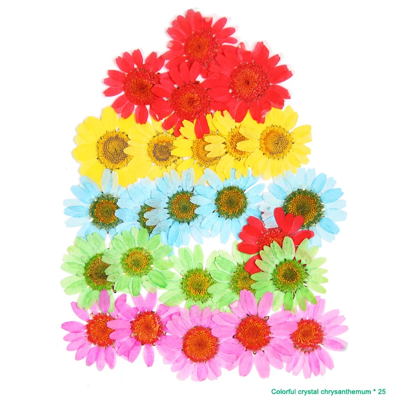 

Pressed Flower Mixed Dried Flowers DIY Art Floral Decors Collection Gift Craft DIY SDF-SHIP