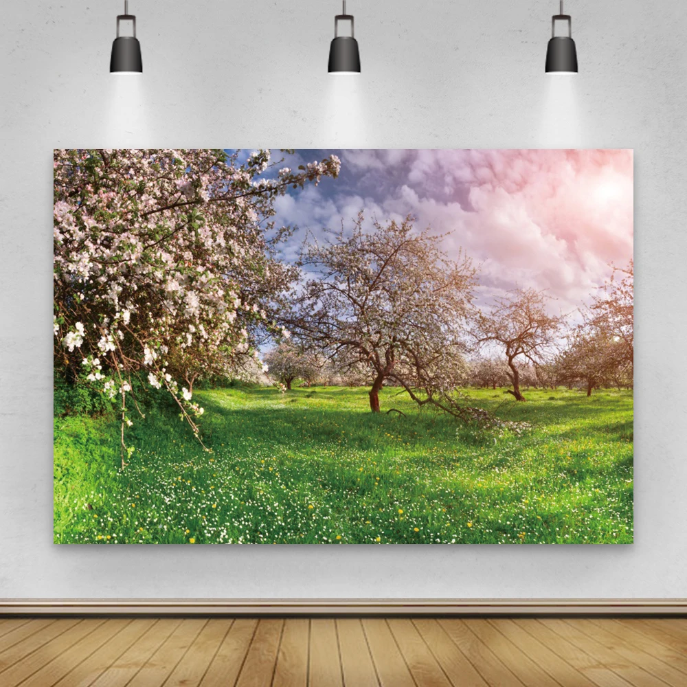 

Laeacco весеннее облачное небо лес цветущие деревья Луг ребенок портрет фотографии фоны для фотостудии