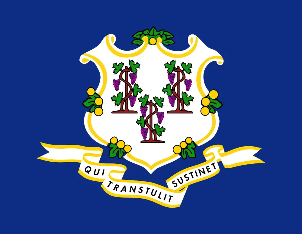 

ELECTION 90x150cm Connecticut flag for decoration